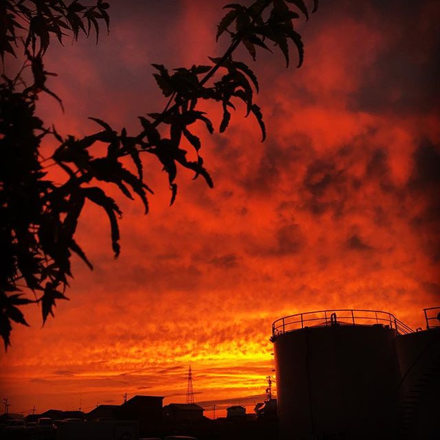 本日の夕焼け。綺麗なような、恐ろしいような。#夕焼け#浜松#空調#フジテック